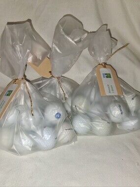Pinnacle White Golf Balls - 1 Dozen